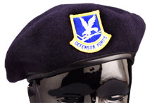 SECURITY FORCES BERET INCLUDES Enlisted Flash